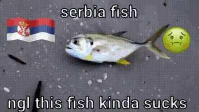 what no sea access does to spermbian fish