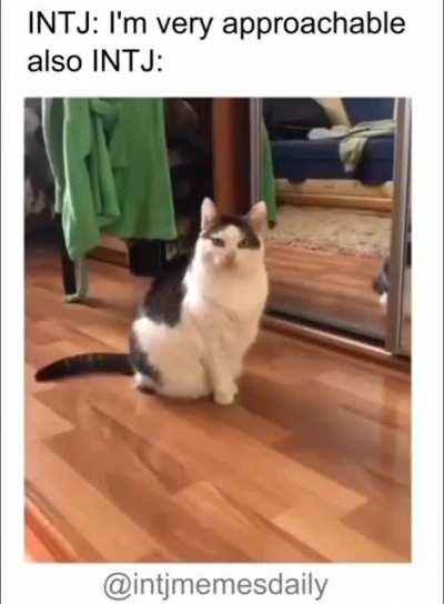 Yeah, very approachable 😅