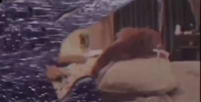 Jokes aside, they tryna be cray is catchy as hell and I wish it released