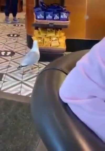 Just needs the sound fx