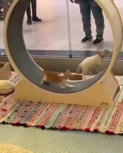 Physics? we don't care, we love to play!