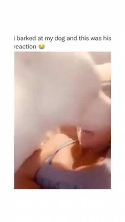 Why did he square up 😂🤣😭