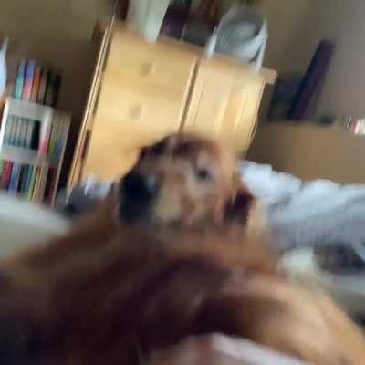 I just wanted to use my hand, Bergen had other ideas