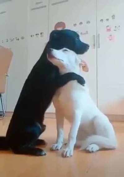 Don't cry !i am stand with you 😊