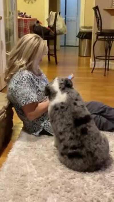 Really wants those pets.