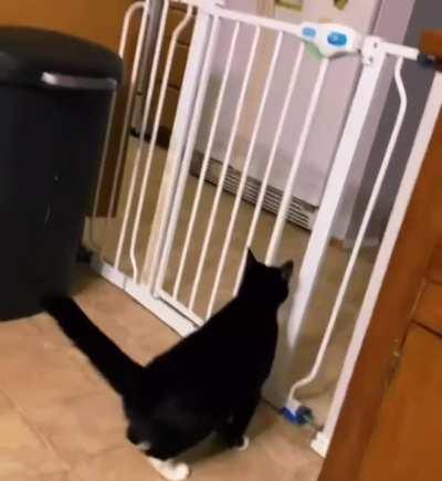 Come on my dude u can do it