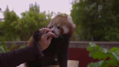 Nice friendship between them..