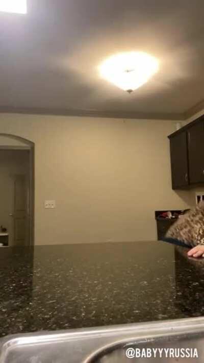 GR33N3Y3DY4RD!3, B4BYRUS$!4 & OTHERS QUICK C0MP!L4TI0N