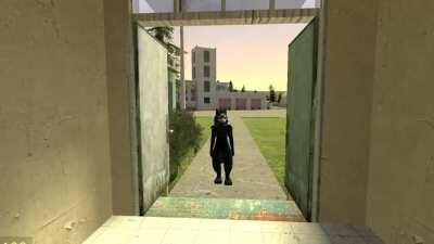 How everyone acting after finding out pyros a furry. Like bro, chill.