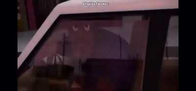 Why my post got deleted (reupload)