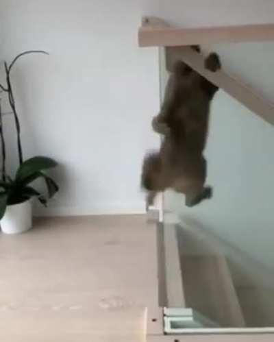 Enter the dimension with style