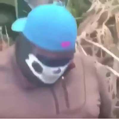 Watch at your own risk.