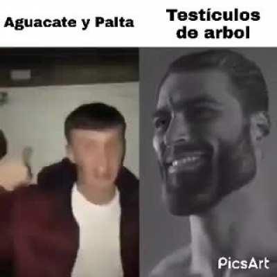 Cómo debe de ser 😎