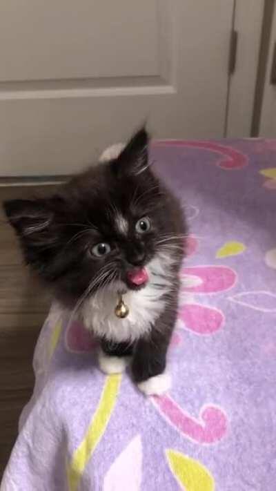 My little bottomless pit when she is ready for more food