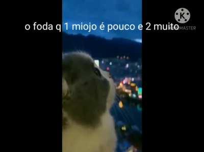 😭😭😭😭😭😭