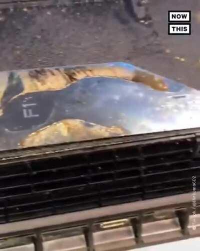 When you clean computers for a living