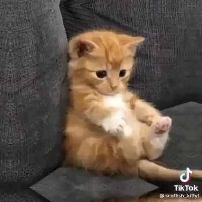 Made my morning. Have a nice day guys!