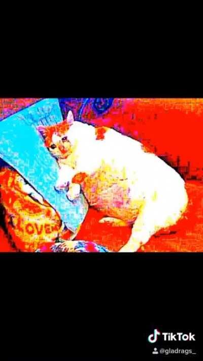 I tawt I taw a putty tat