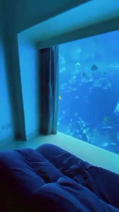 Undersea Hotel Room - Dubai