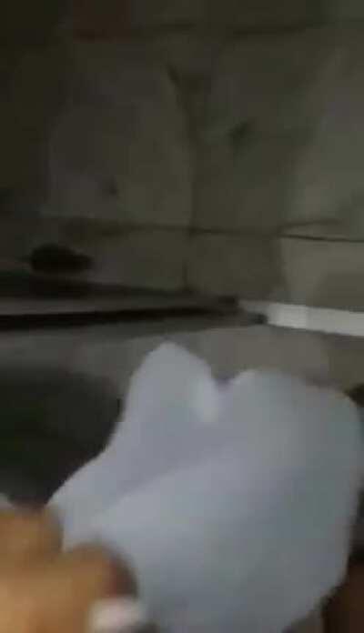 Coisa Comum Para Muitos Brasileiros 🤣