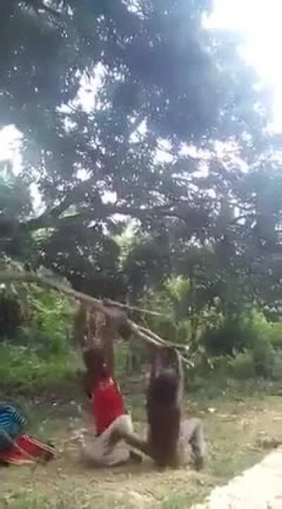 We all did this when we were young