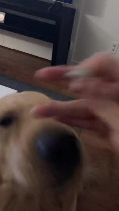 What did you think would happen?