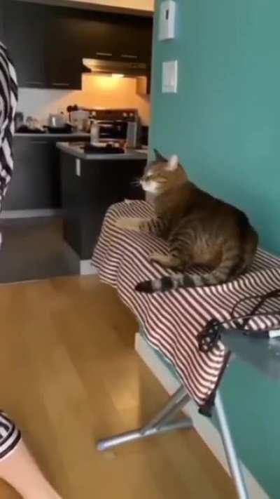 cAtTo CaUgT sExUaLy HaRaSsInG hIs HoOmAn On CaMeRa