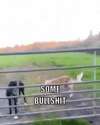 I must go, my people need me.