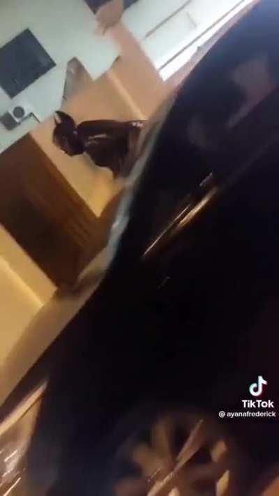 bagman patrolling gotham