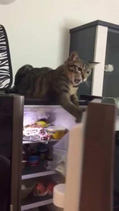 No close! Only open!