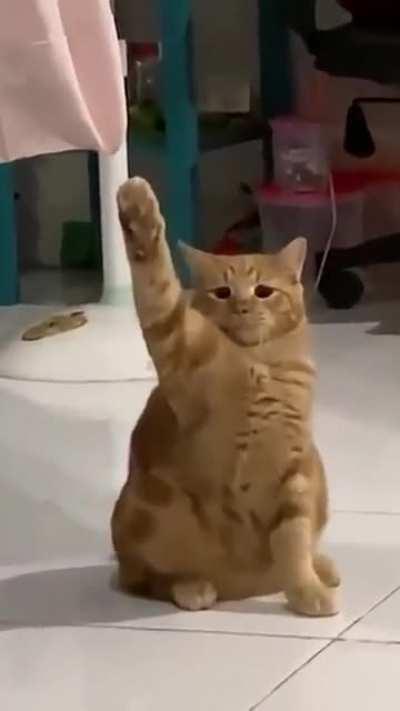 Germany must be stopped once again. 