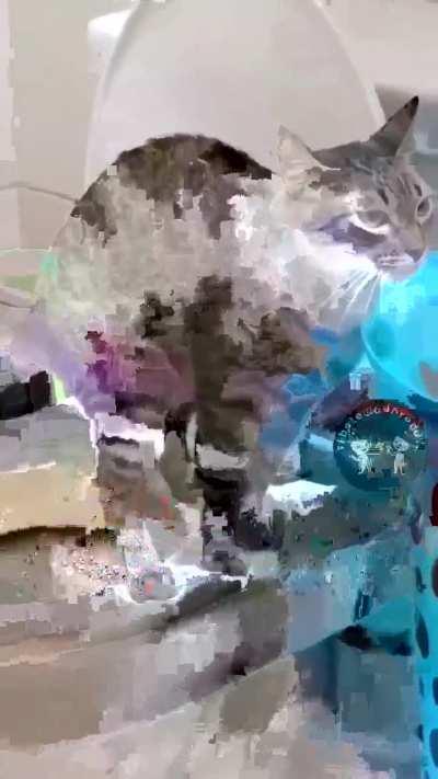  Ok, mais educado que muito humano por aí 