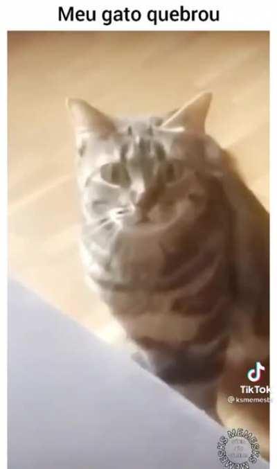 gato.exe parou de funcionar