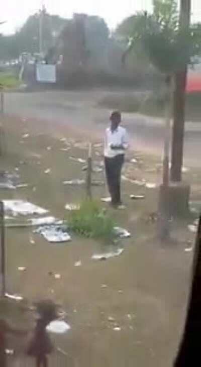 I'm gonna fight this tree