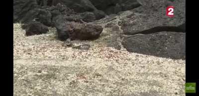 How leveling feels on Darrowshire when you are constantly chased by gankers