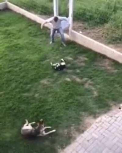 Hey, uh, can anyone explain to me what in gods name this is? Some weird shit I found on petit tube.