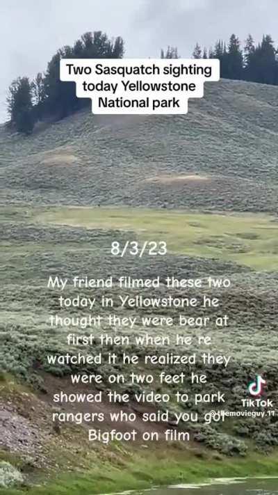 What are your thoughts on this new video? 