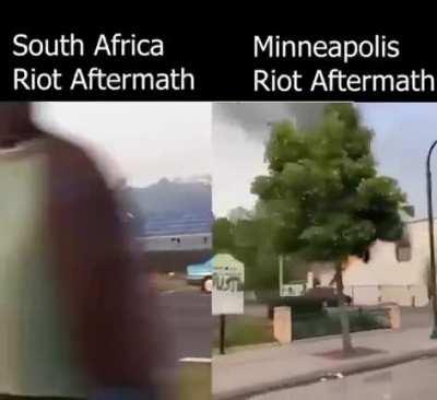 Which is better? South Africa or Little Mogadishu?