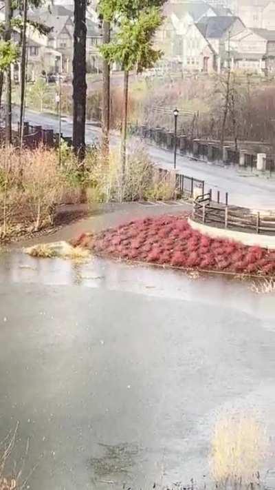 The end of the rainbow right out my front door 🌈