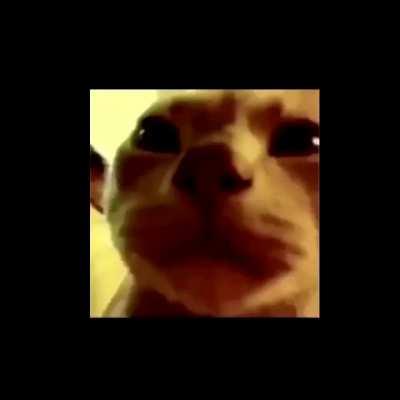 (POV) You are the chain battle boss and the player has minimized the app for infinite time