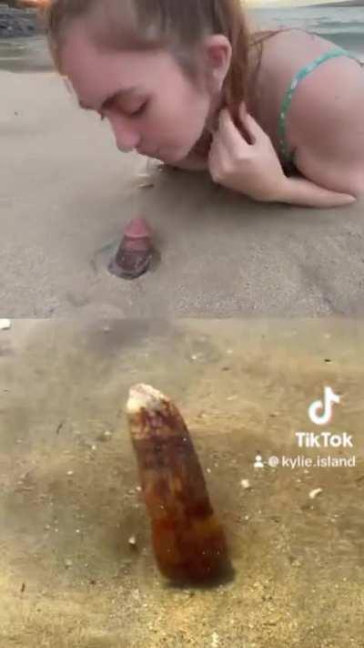 Beach dick duet