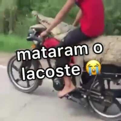 O Lacoste