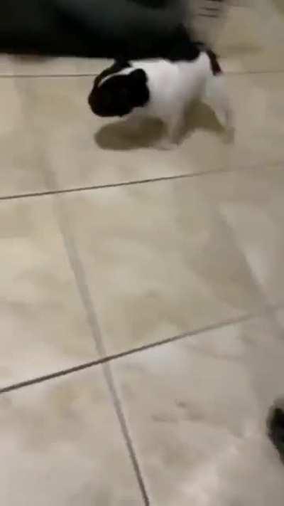 every action movie ever