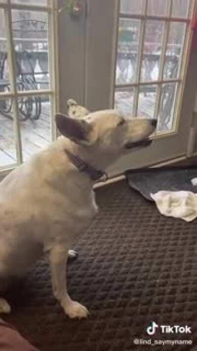To make a barking noise