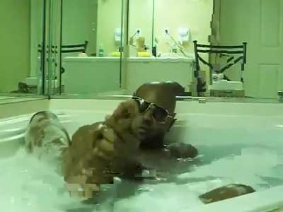 Kim carta before transition