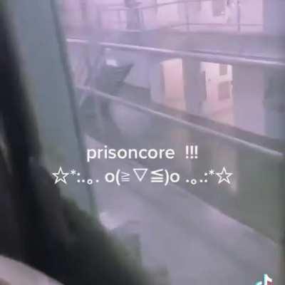 roomtour for the girls °(>v<)°