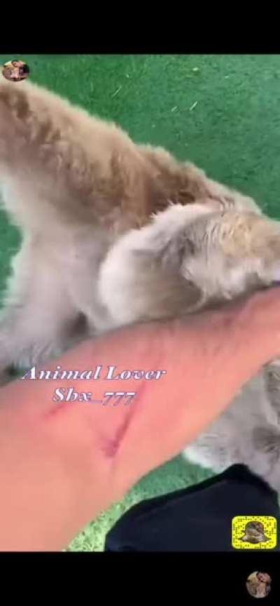 HMRB while I play with my dog (link in comments for full vid)