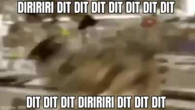 sonda yarraklı karı çıkmıyo