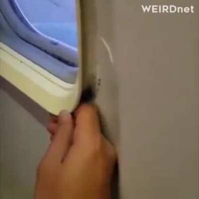 Thanks, I hate plane windows