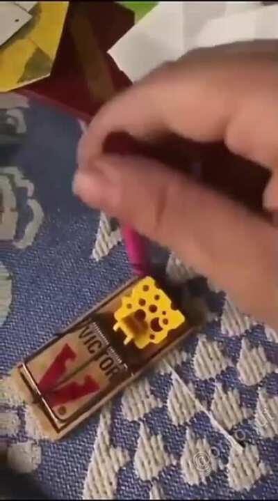 WCGW testing out a mousetrap with a crayon